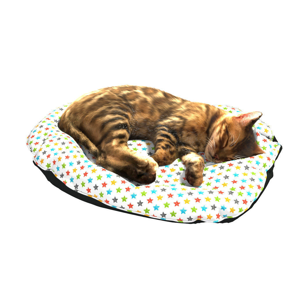 Bengal Kitten 3D model_26