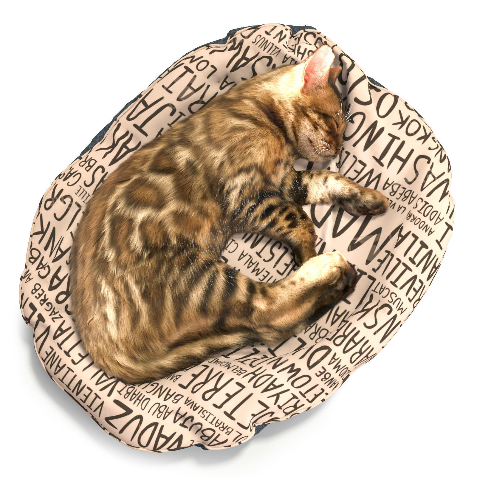 Bengal Kitten 3D model_24