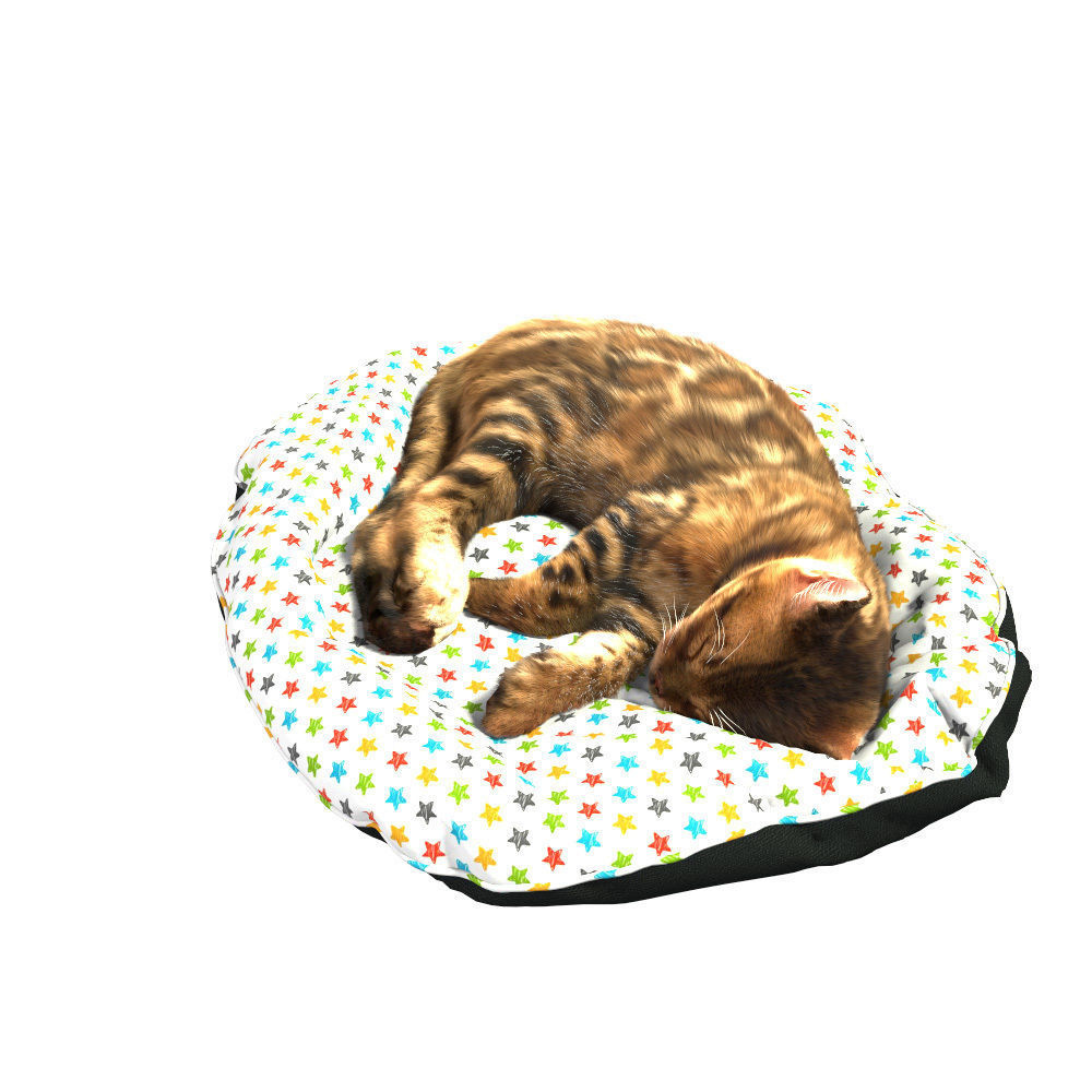 Bengal Kitten 3D model_29