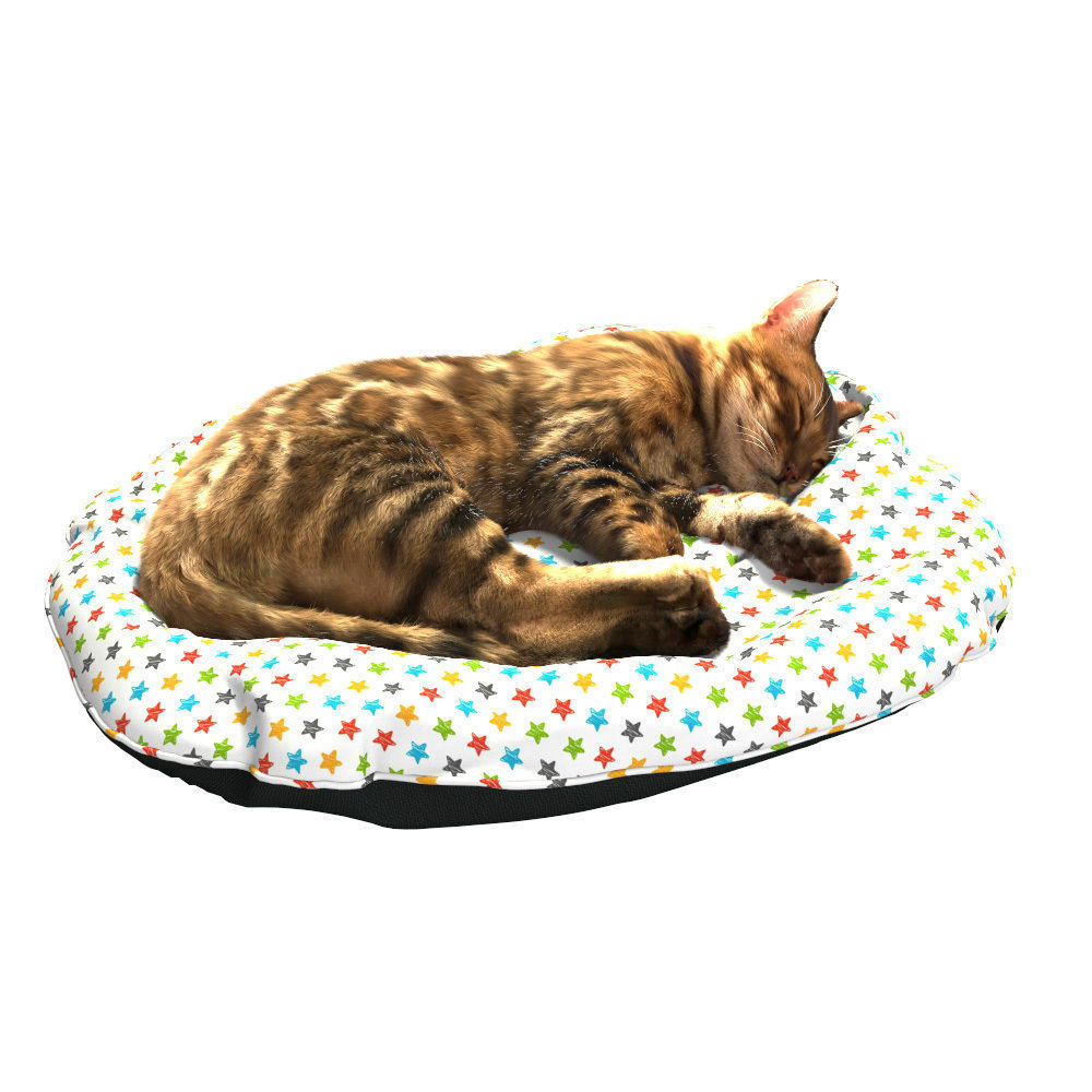 Bengal Kitten 3D model_21