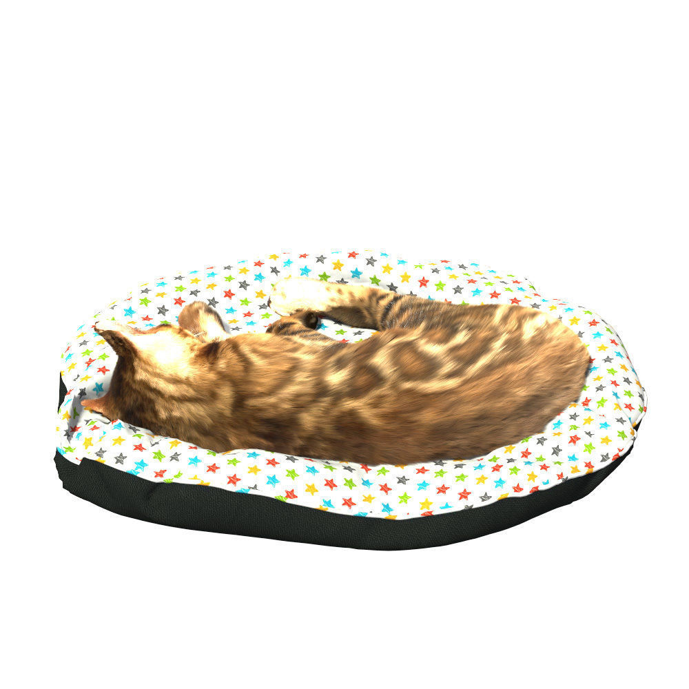 Bengal Kitten 3D model_9