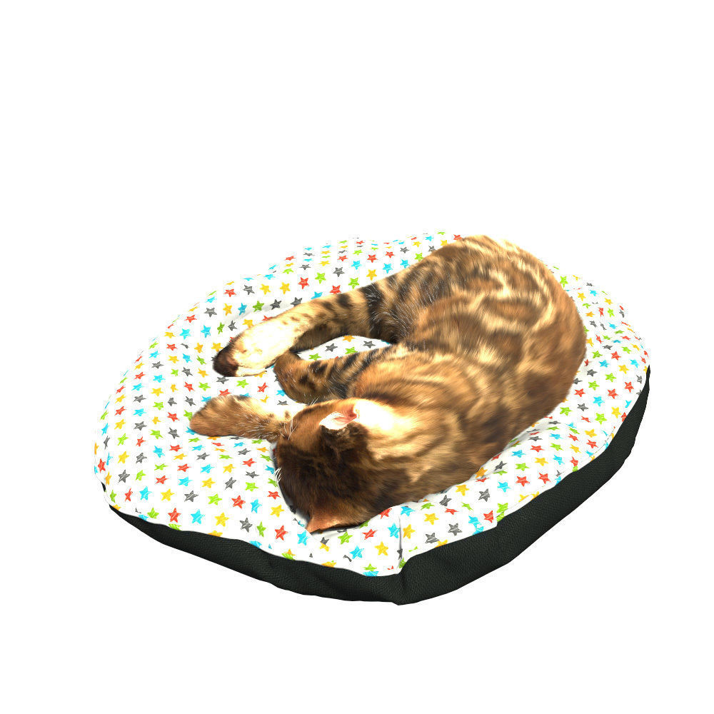 Bengal Kitten 3D model_8
