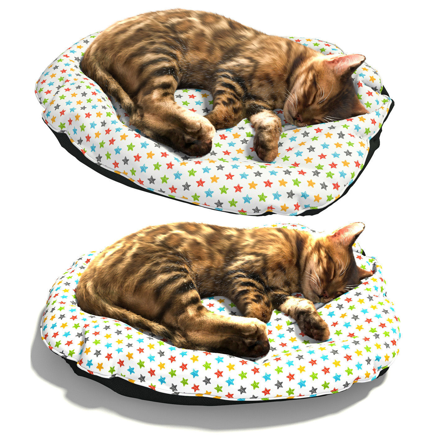 Bengal Kitten 3D model_3