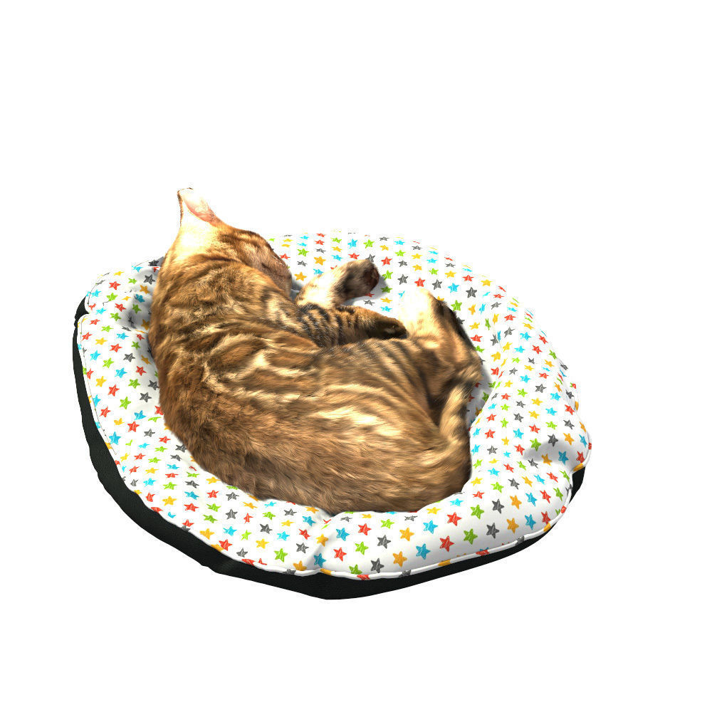 Bengal Kitten 3D model_16