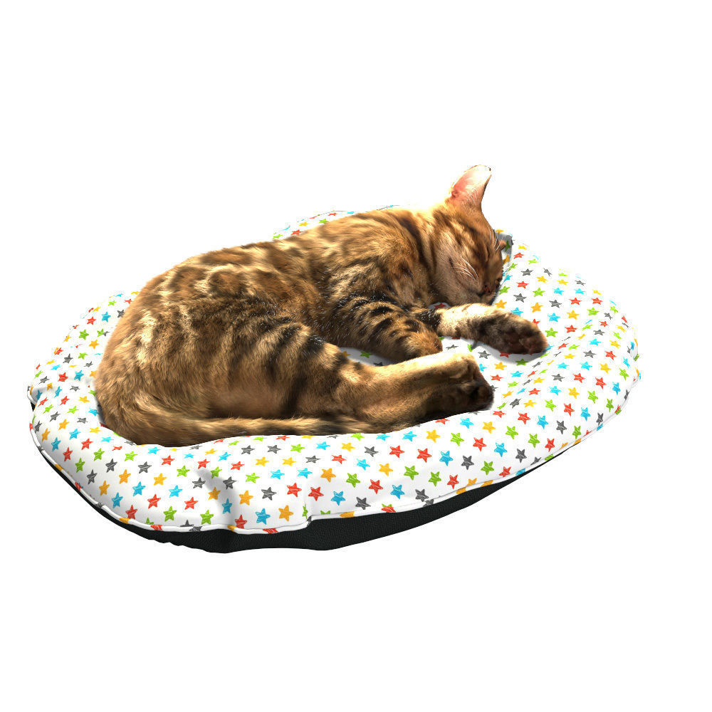 Bengal Kitten 3D model_20