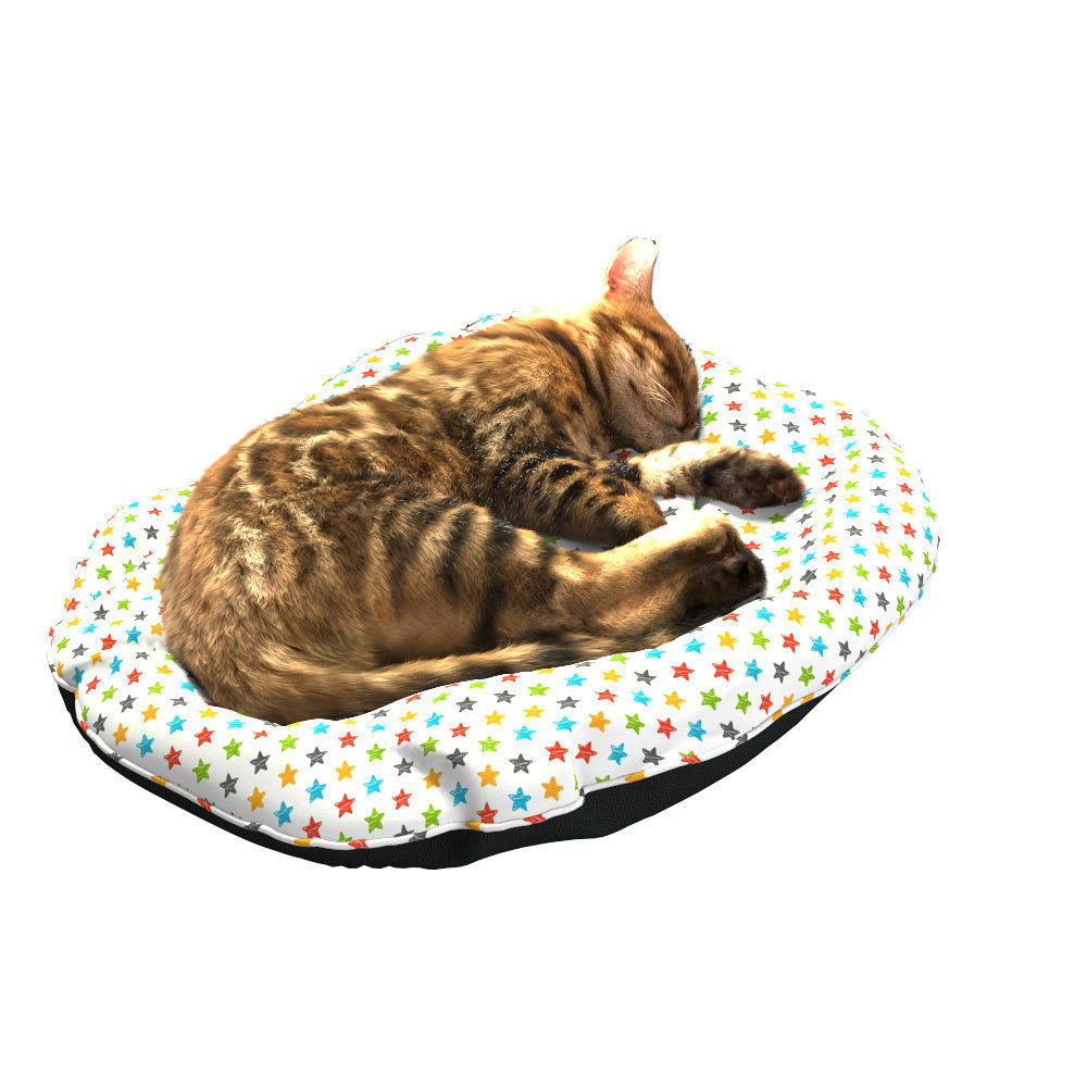 Bengal Kitten 3D model_18