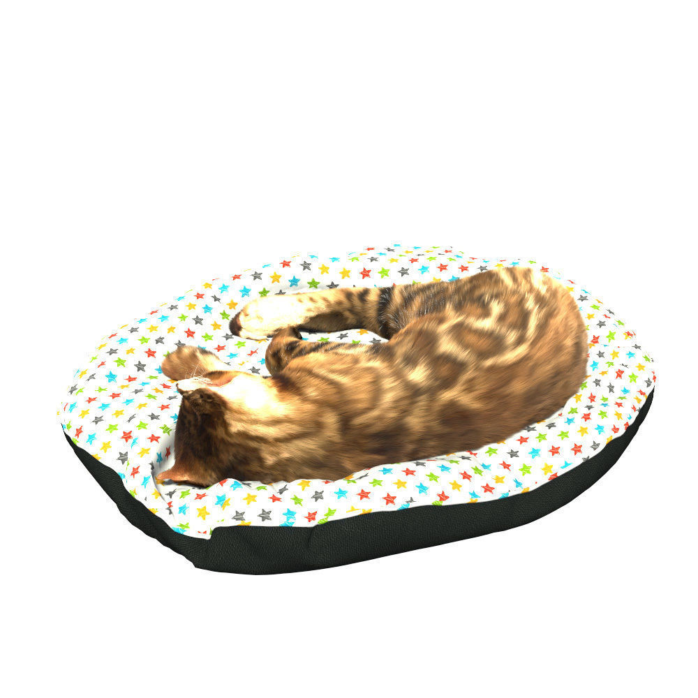 Bengal Kitten 3D model_6