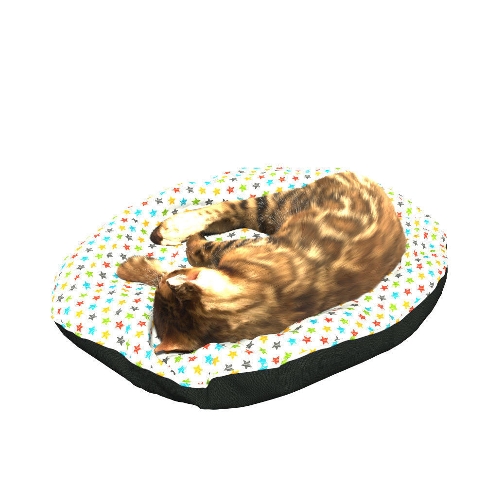 Bengal Kitten 3D model_10