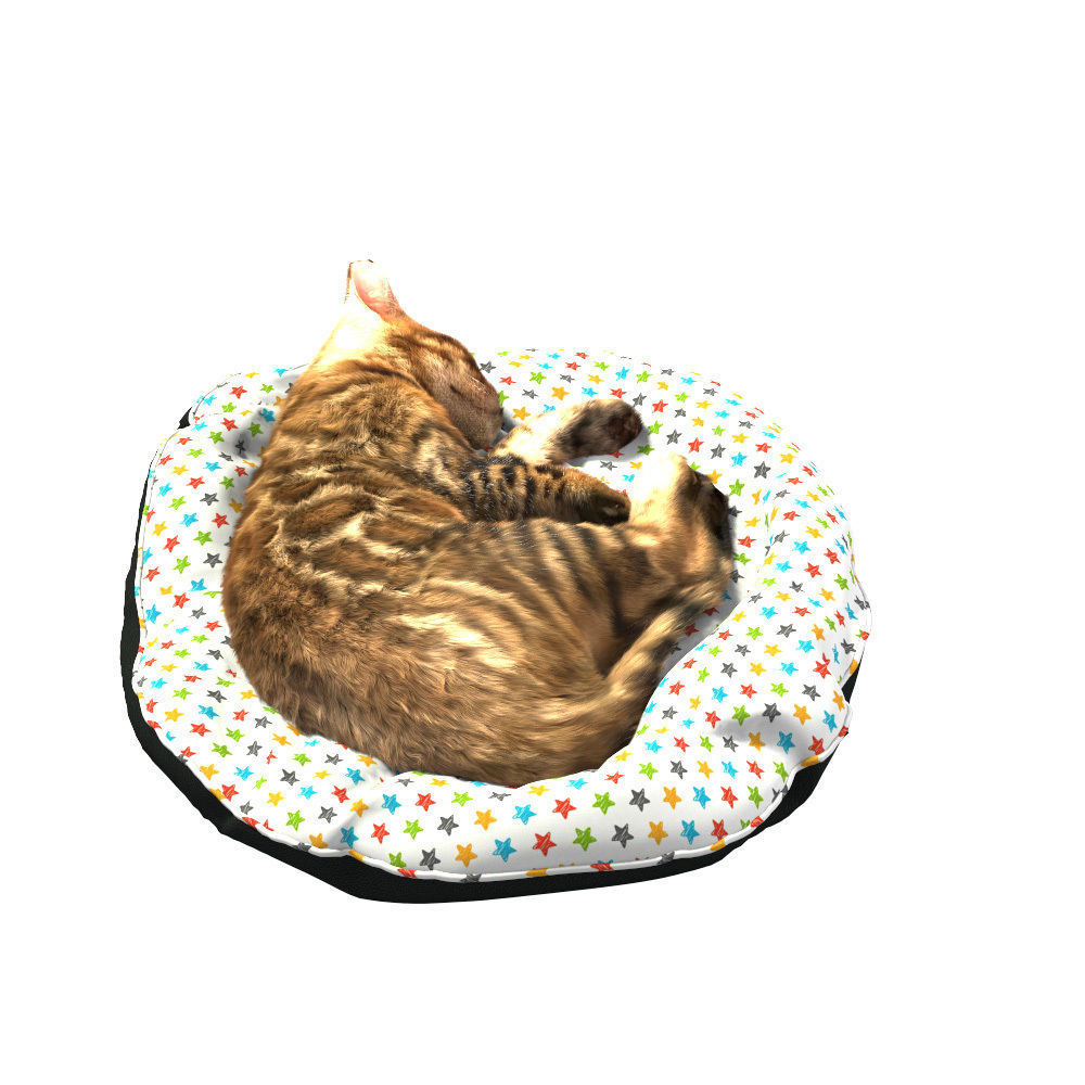 Bengal Kitten 3D model_17