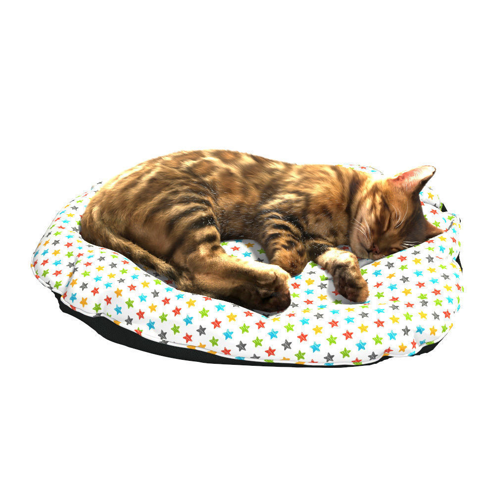 Bengal Kitten 3D model_25