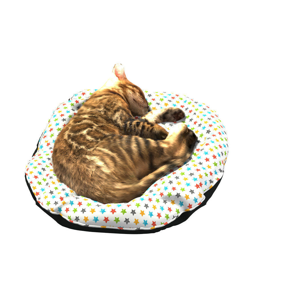 Bengal Kitten 3D model_15