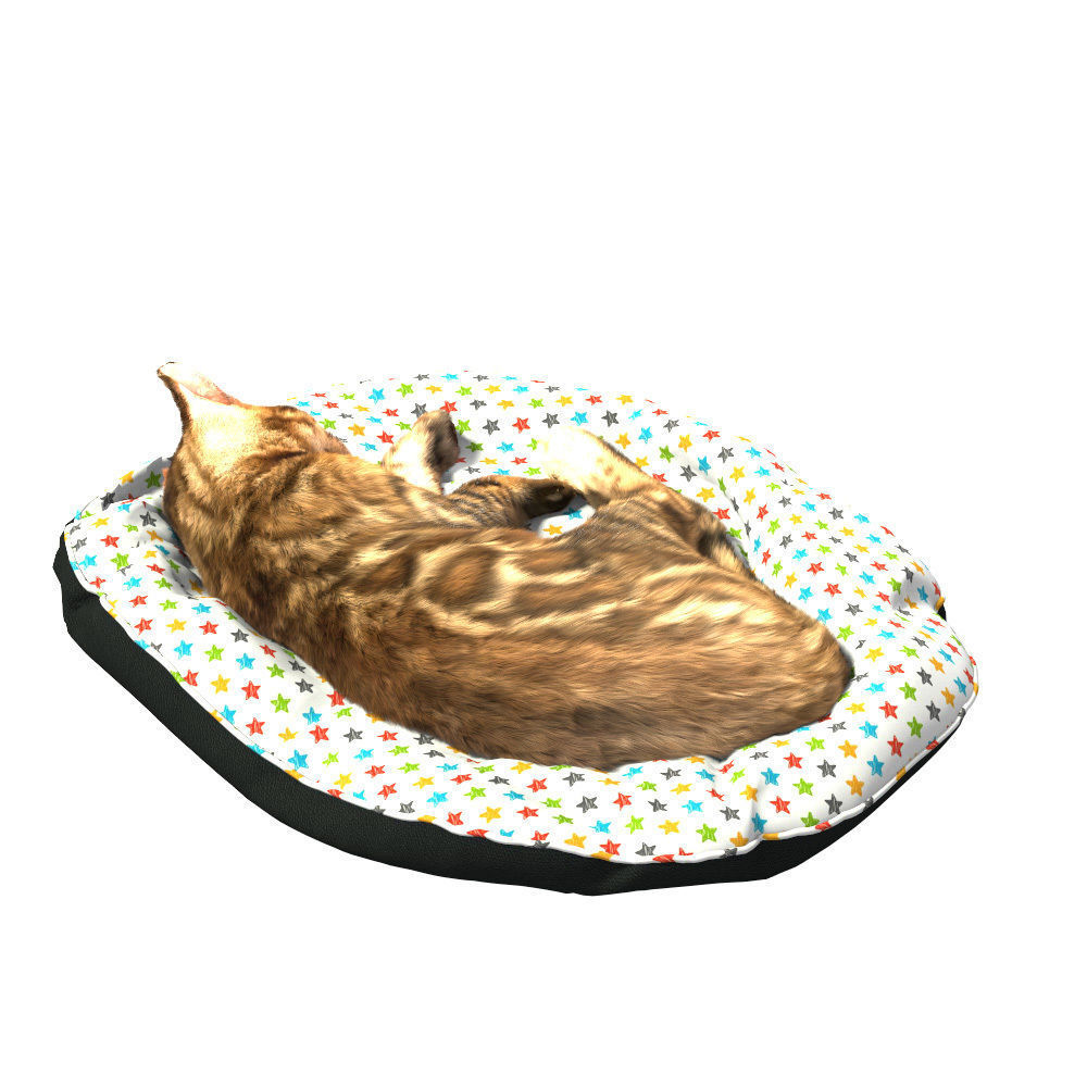 Bengal Kitten 3D model_12