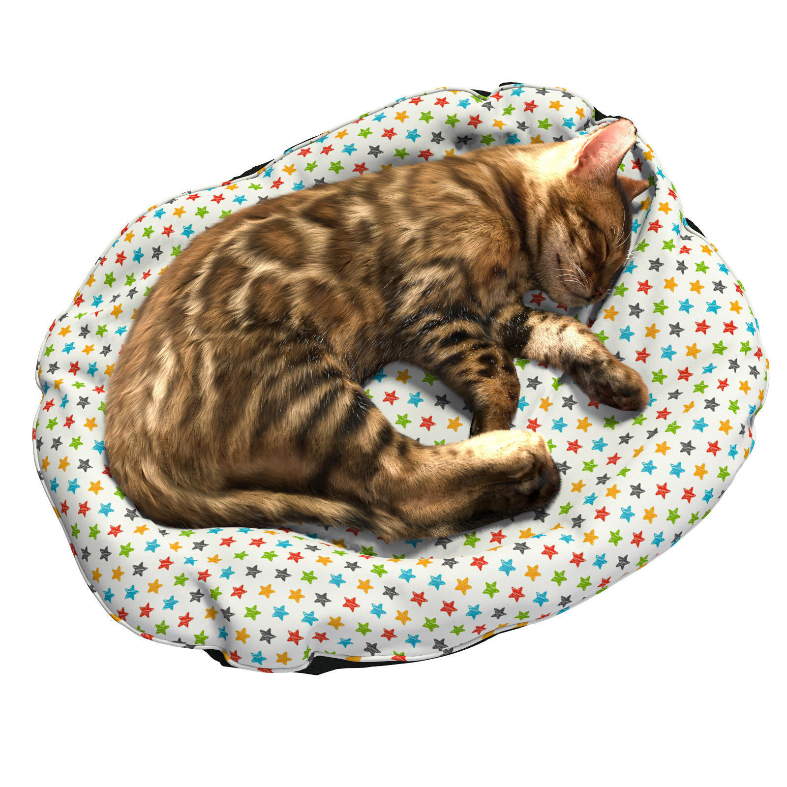 Bengal Kitten 3D model_22