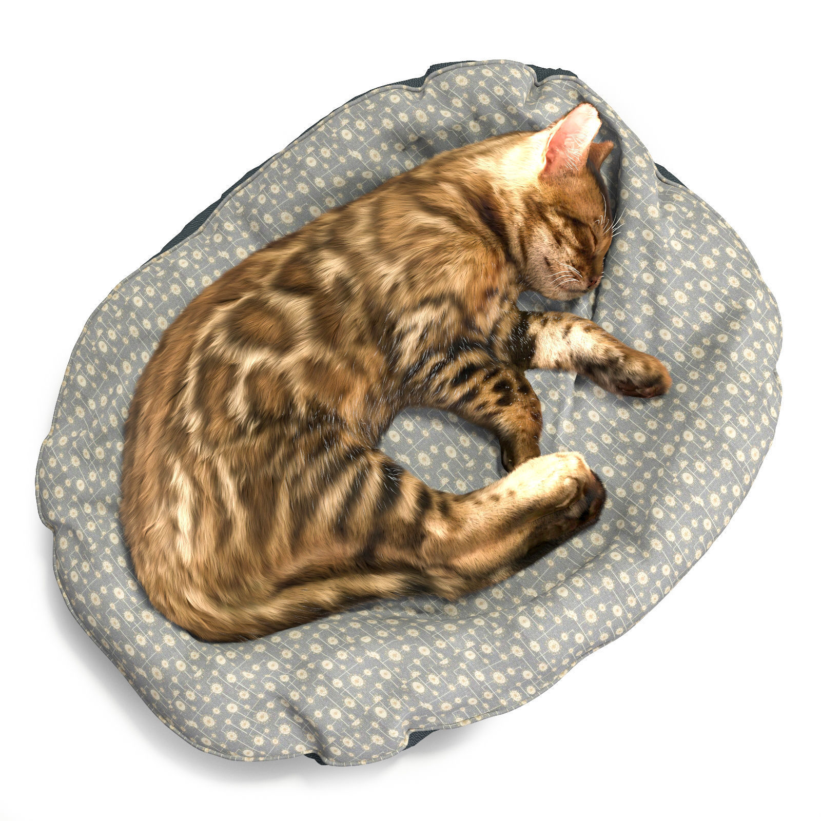 Bengal Kitten 3D model_2