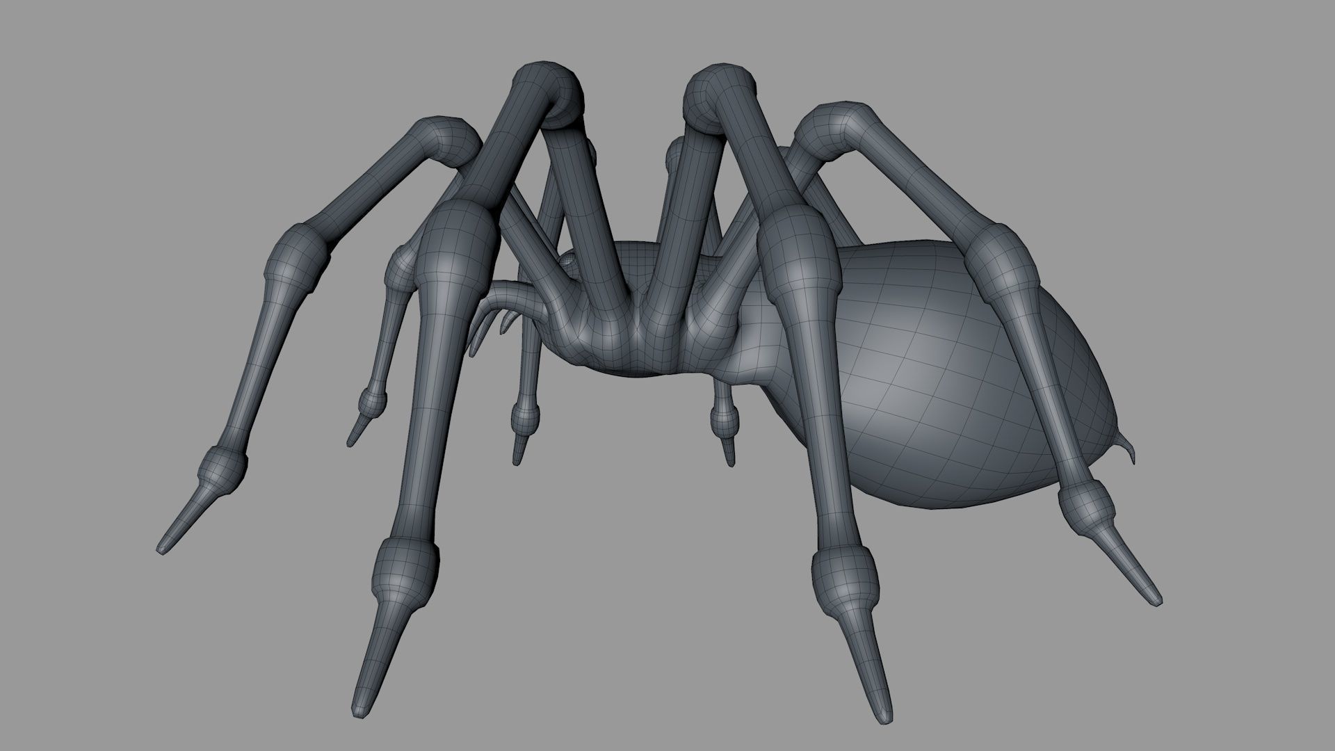 3D Spider Rigged Animated 3D model_8