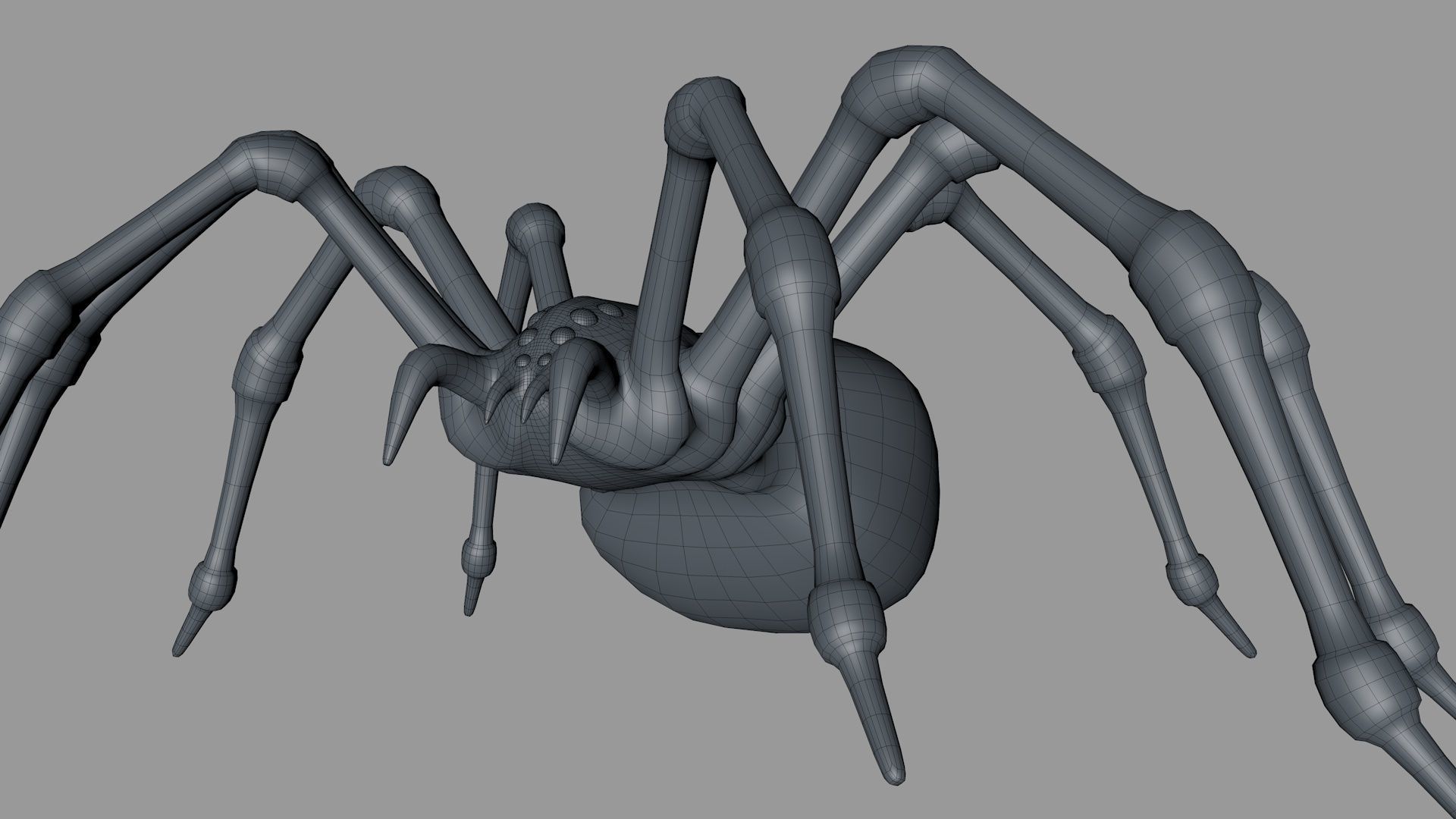 3D Spider Rigged Animated 3D model_14