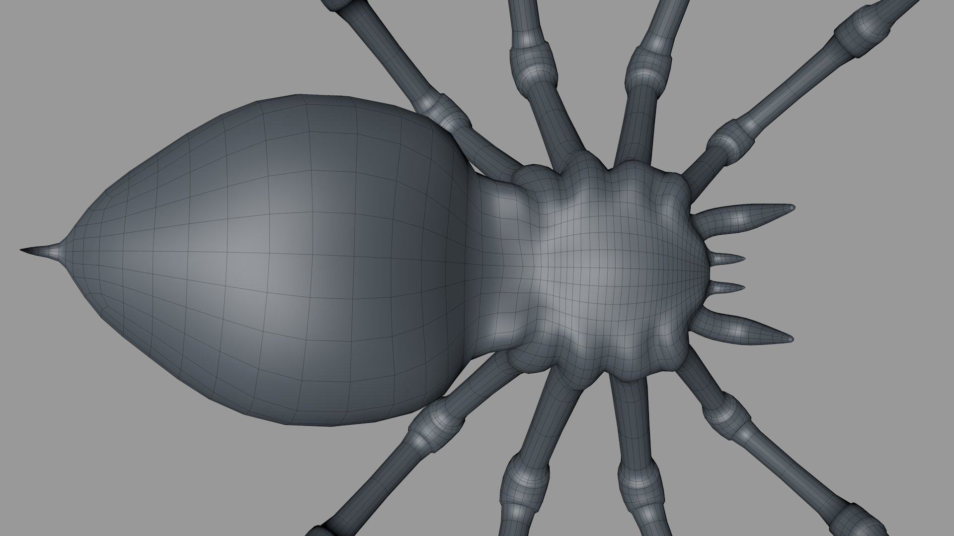 3D Spider Rigged Animated 3D model_13