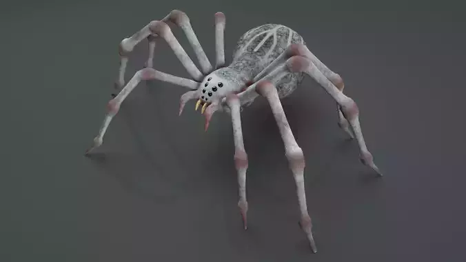 3D Spider Rigged Animated