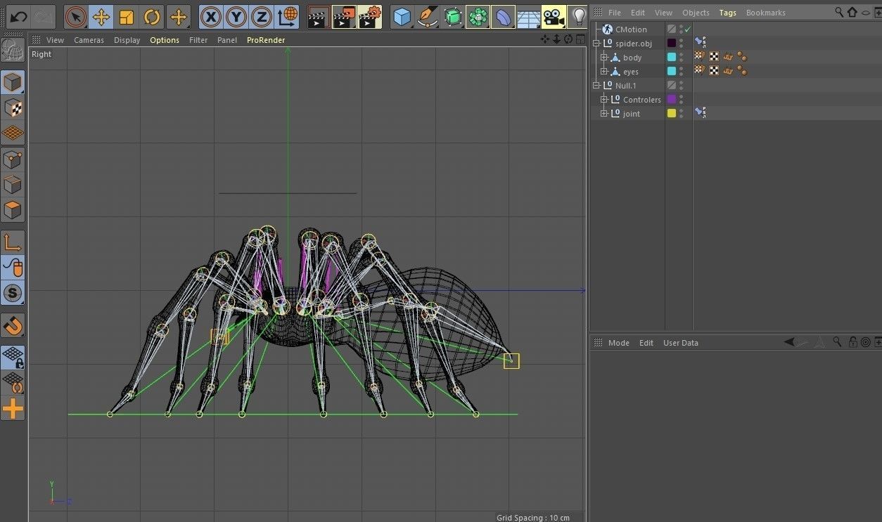 3D Spider Rigged Animated 3D model_15