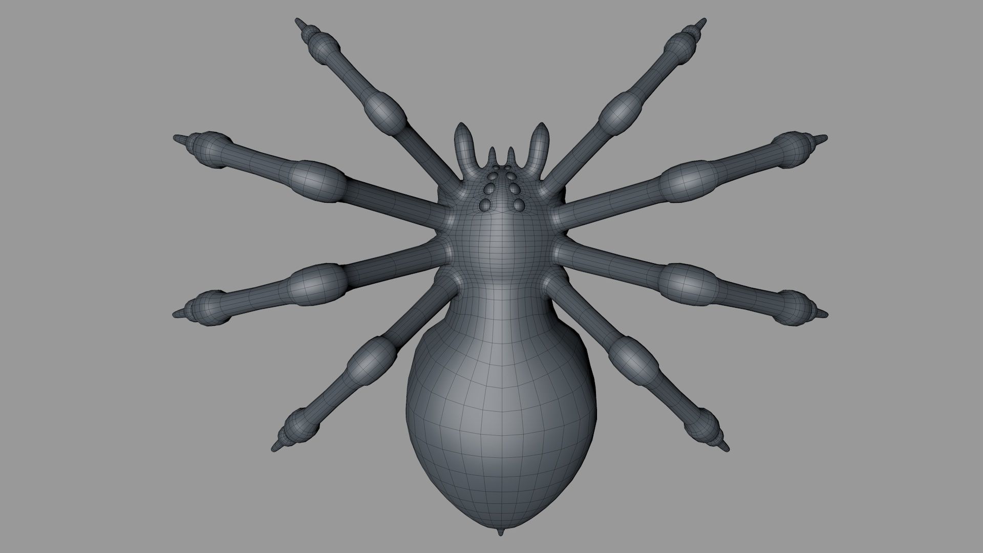 3D Spider Rigged Animated 3D model_11