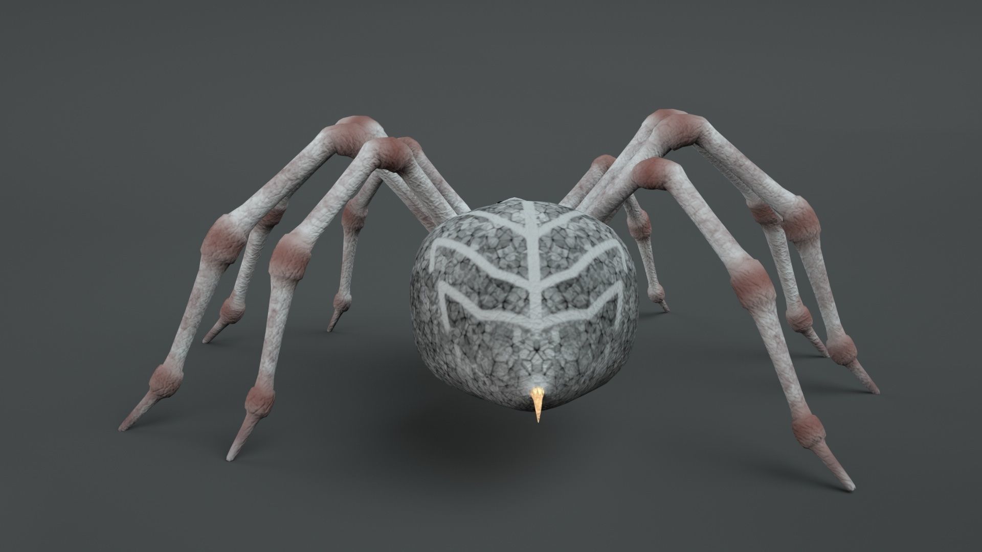 3D Spider Rigged Animated 3D model_6