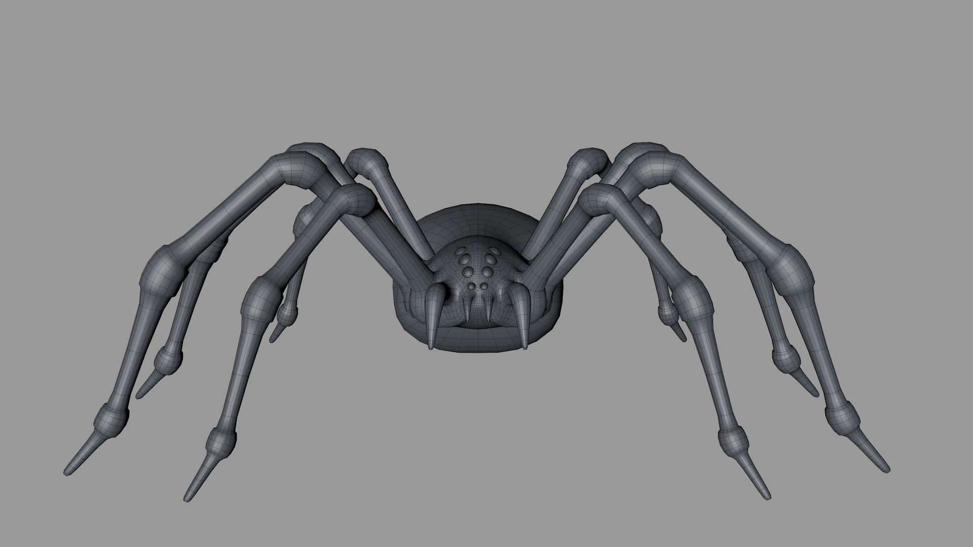 3D Spider Rigged Animated 3D model_9