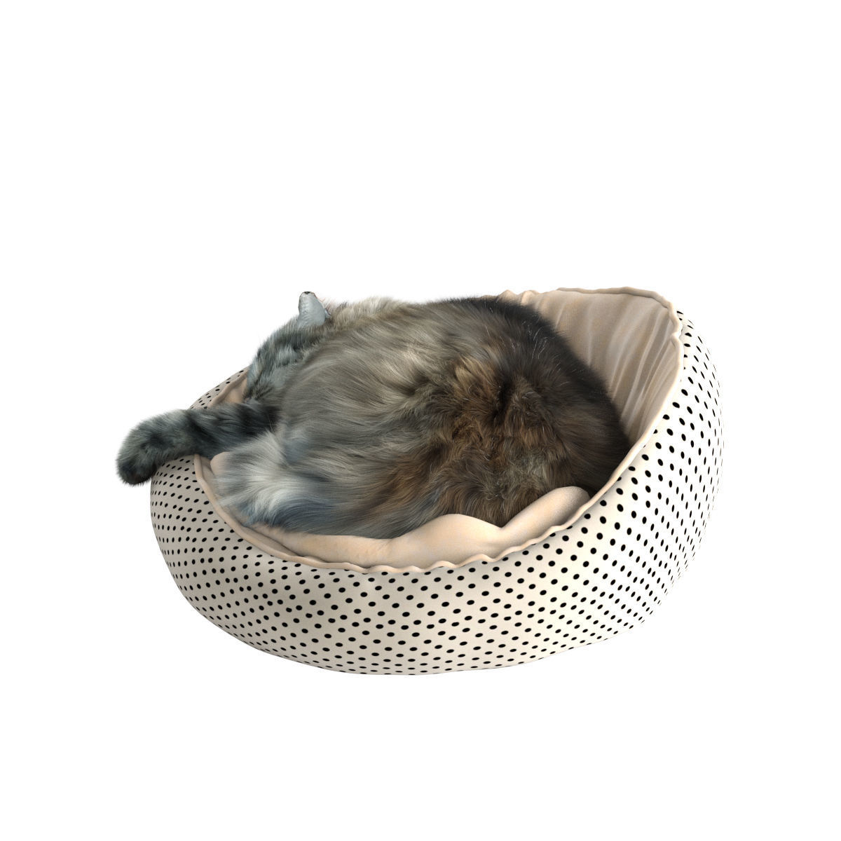 Sleeping Cat 3D model_28