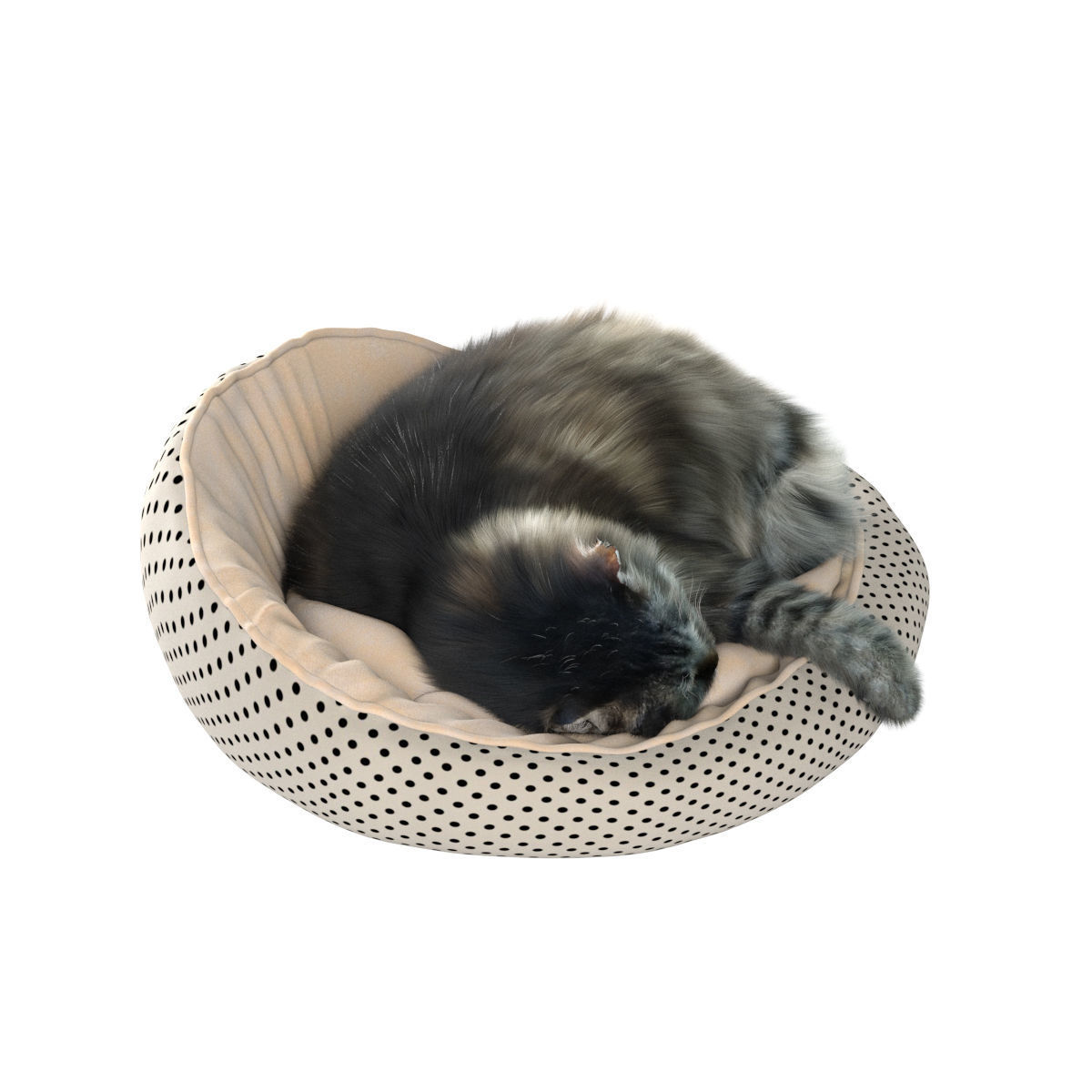 Sleeping Cat 3D model_16