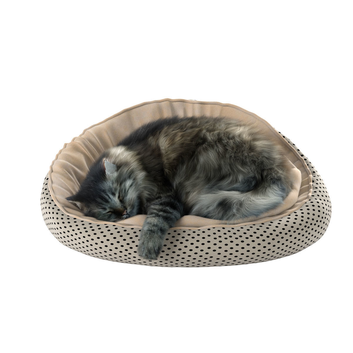 Sleeping Cat 3D model_21