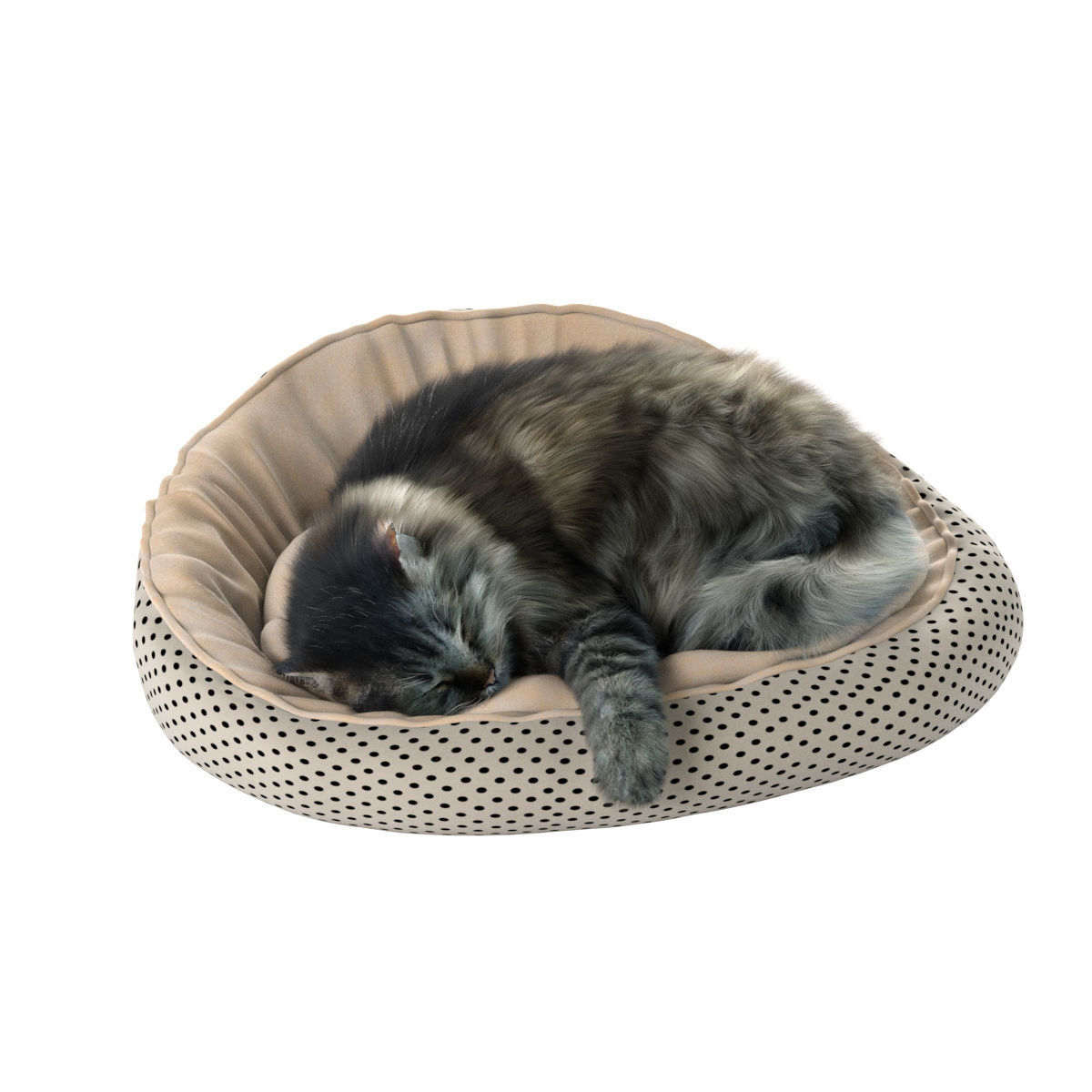 Sleeping Cat 3D model_18