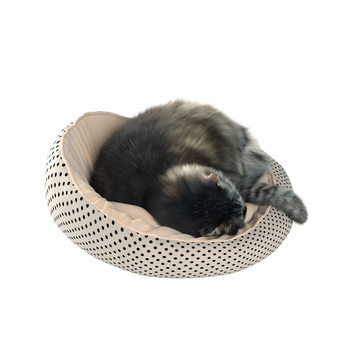 Sleeping Cat 3D model_15