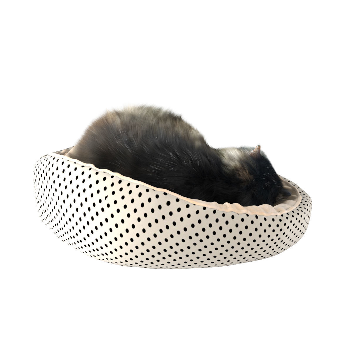 Sleeping Cat 3D model_9
