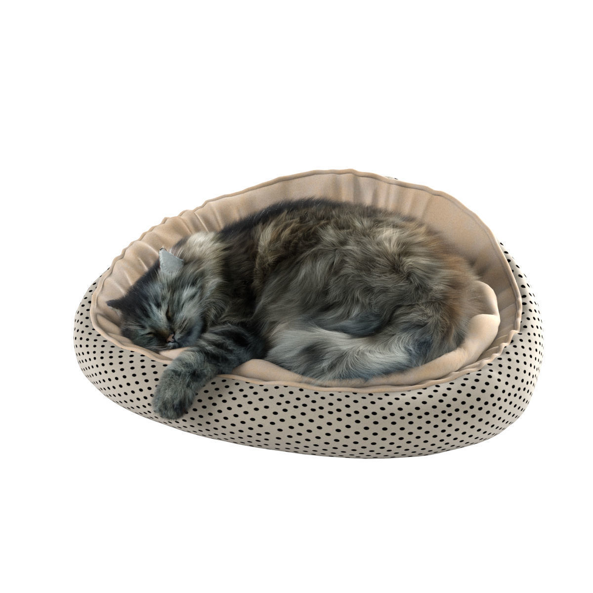 Sleeping Cat 3D model_23