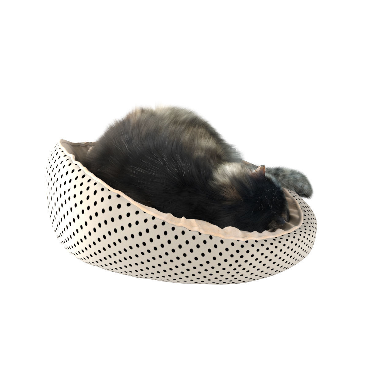 Sleeping Cat 3D model_13
