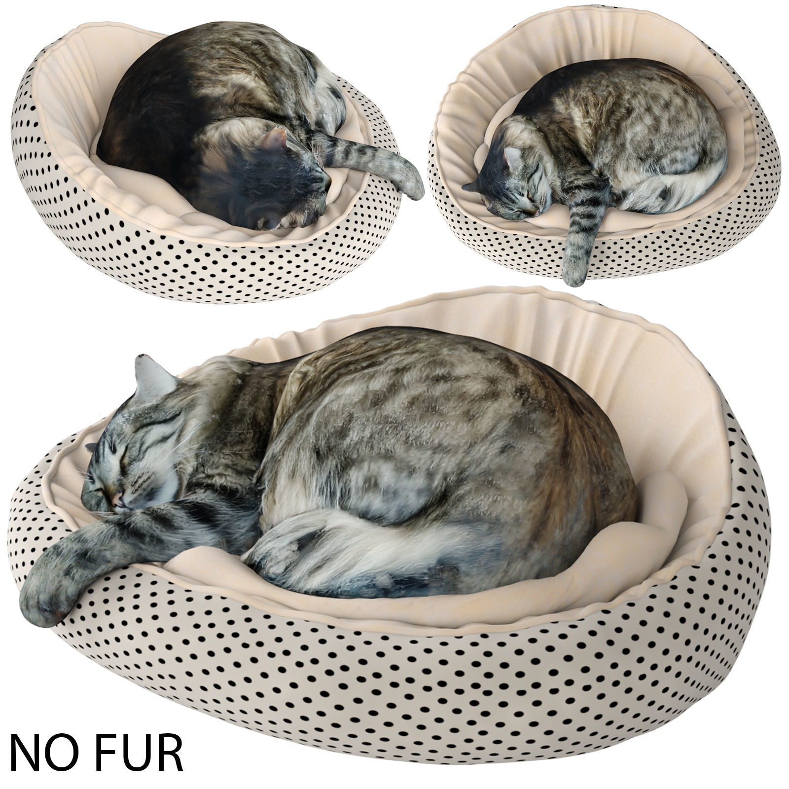 Sleeping Cat 3D model_3