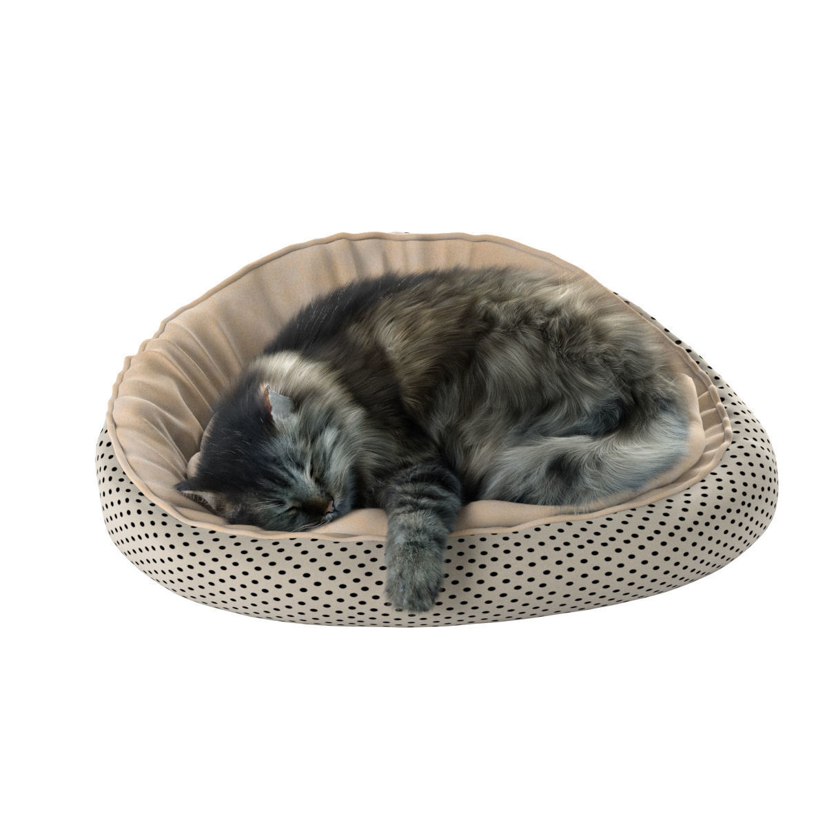 Sleeping Cat 3D model_20