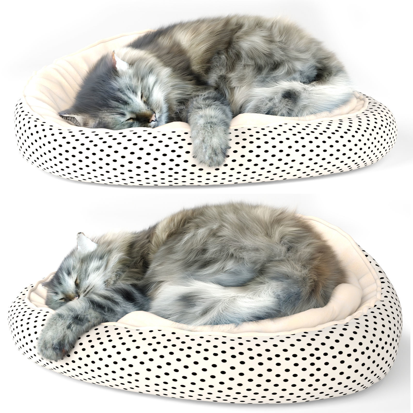 Sleeping Cat 3D model_5