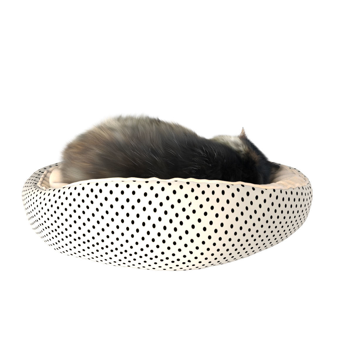 Sleeping Cat 3D model_11