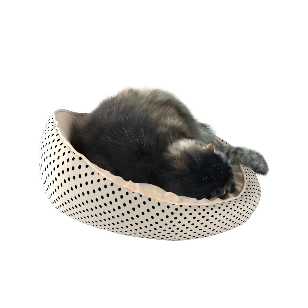 Sleeping Cat 3D model_14