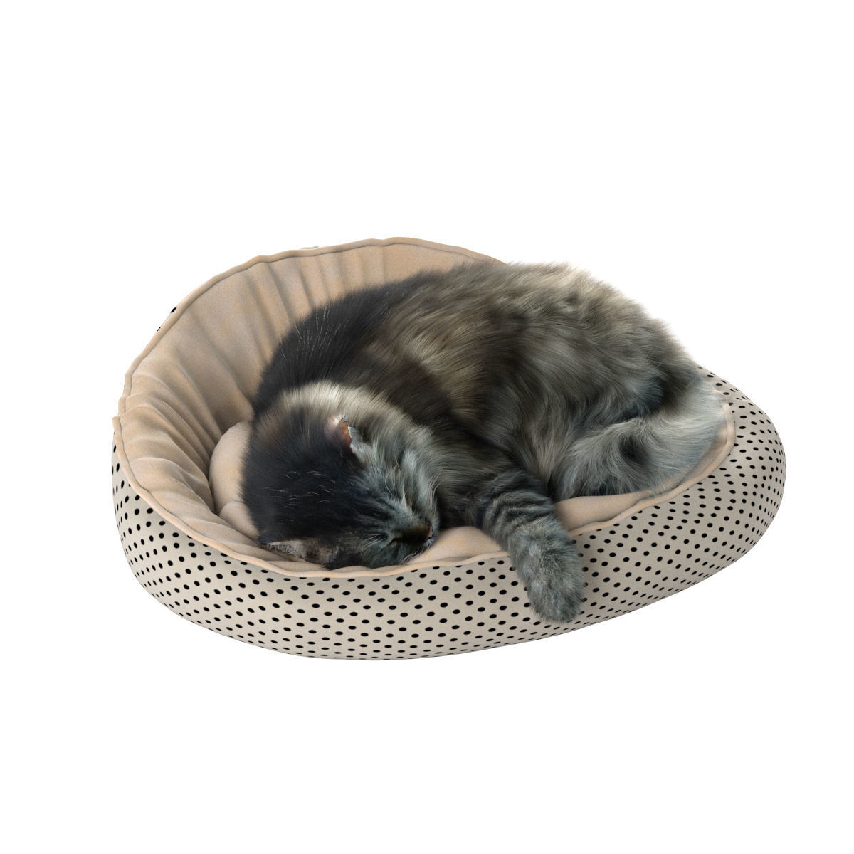 Sleeping Cat 3D model_19