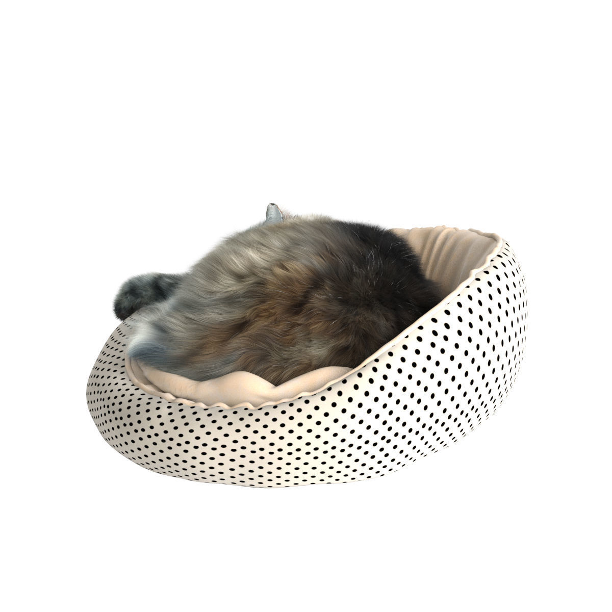 Sleeping Cat 3D model_27
