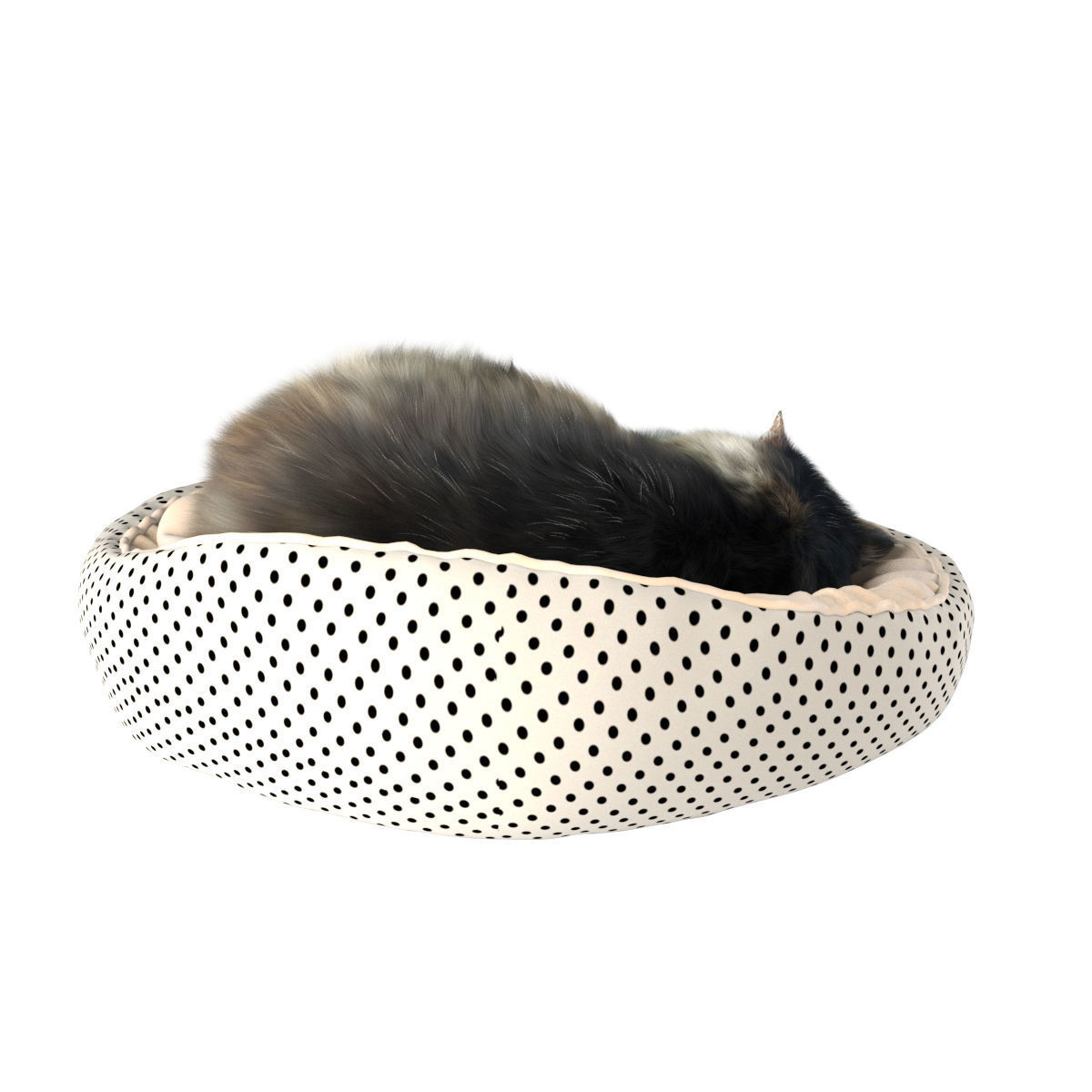 Sleeping Cat 3D model_6