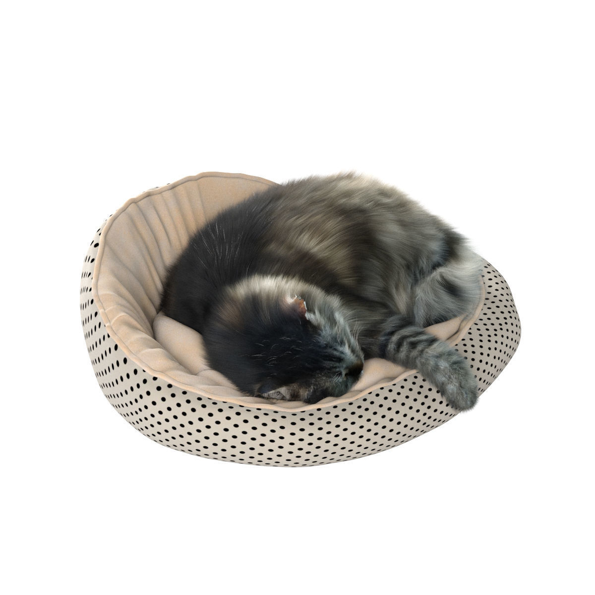 Sleeping Cat 3D model_17