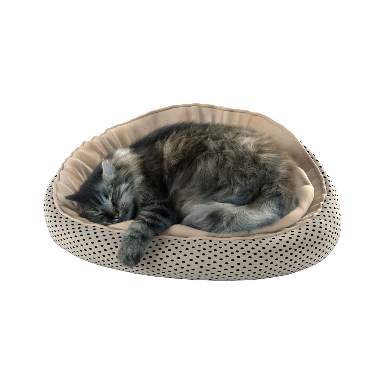 Sleeping Cat 3D model_22
