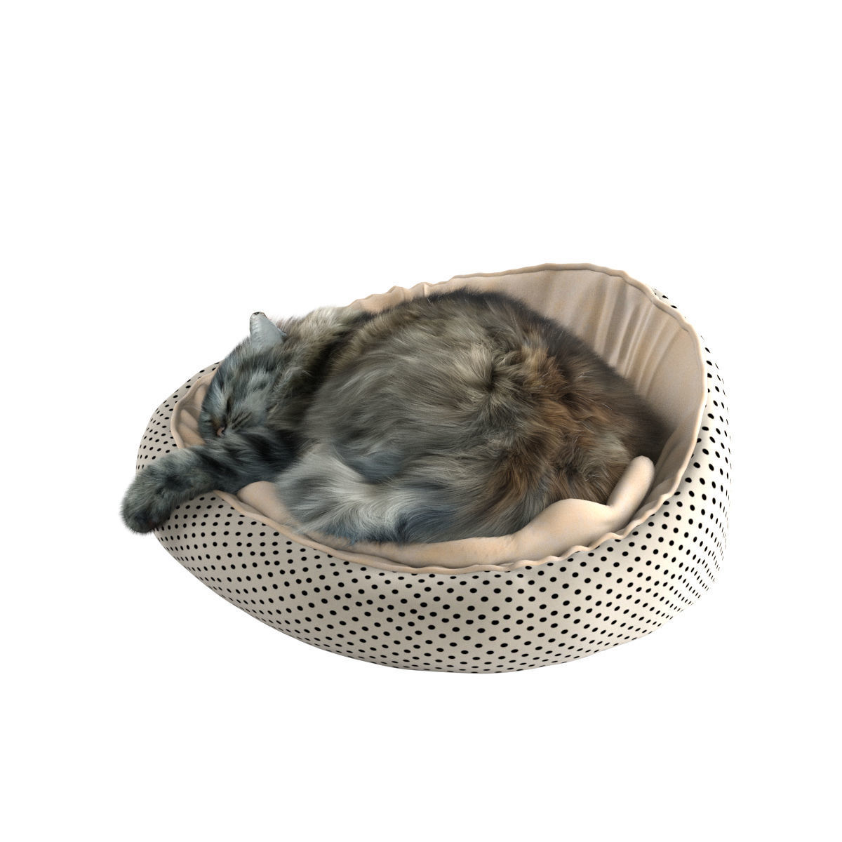 Sleeping Cat 3D model_25