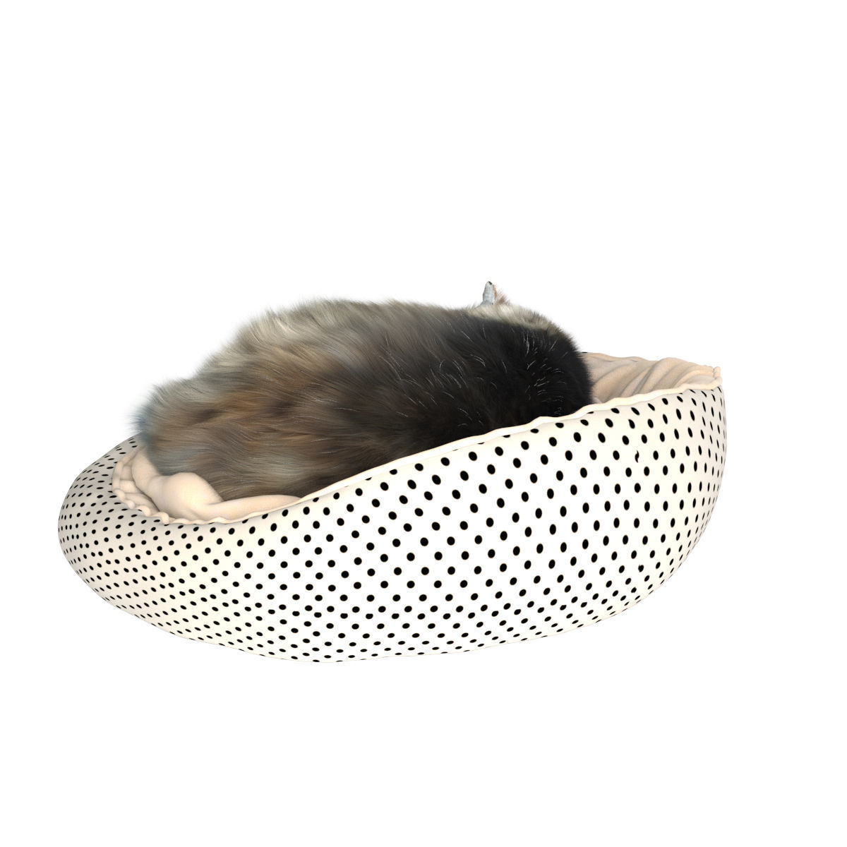 Sleeping Cat 3D model_7
