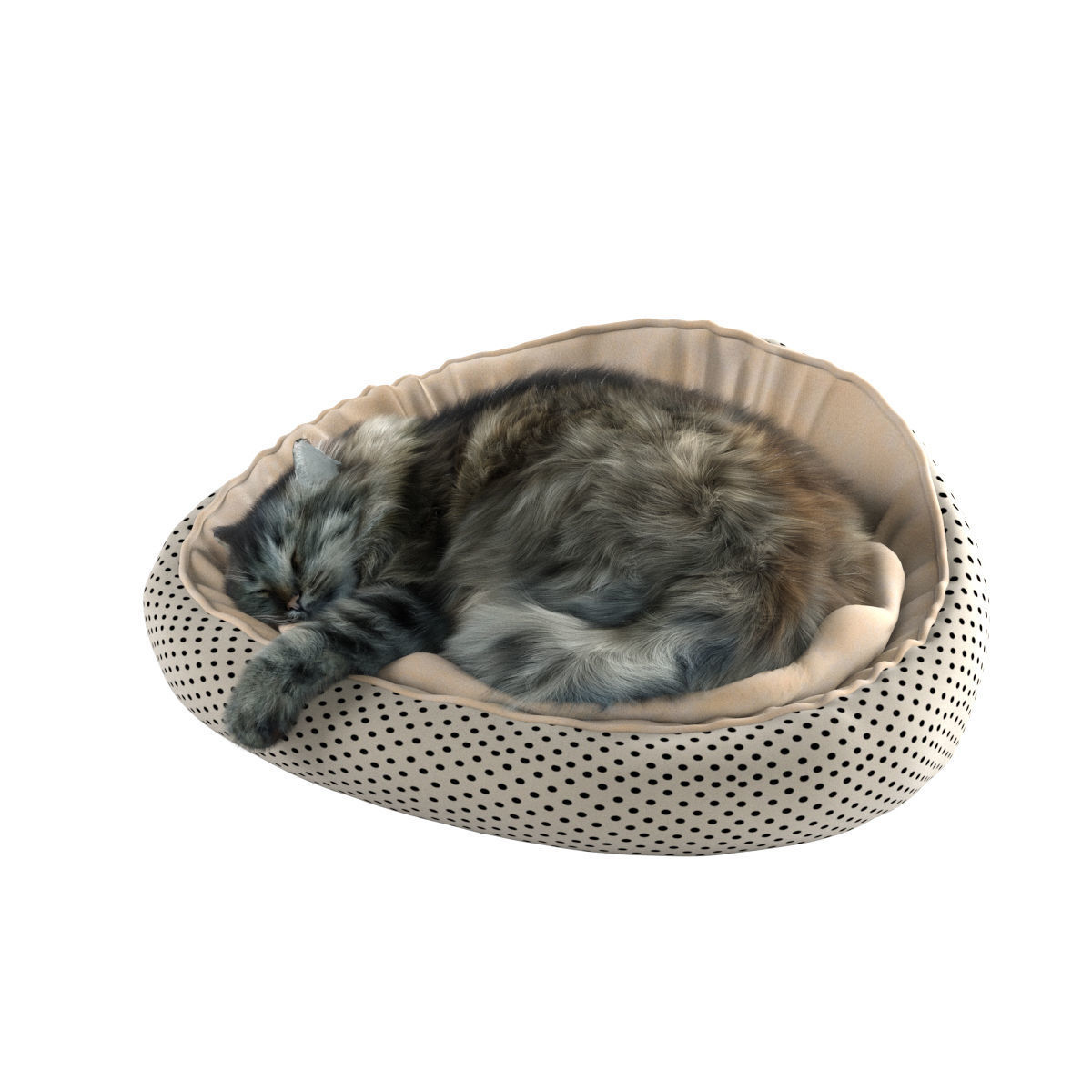 Sleeping Cat 3D model_24