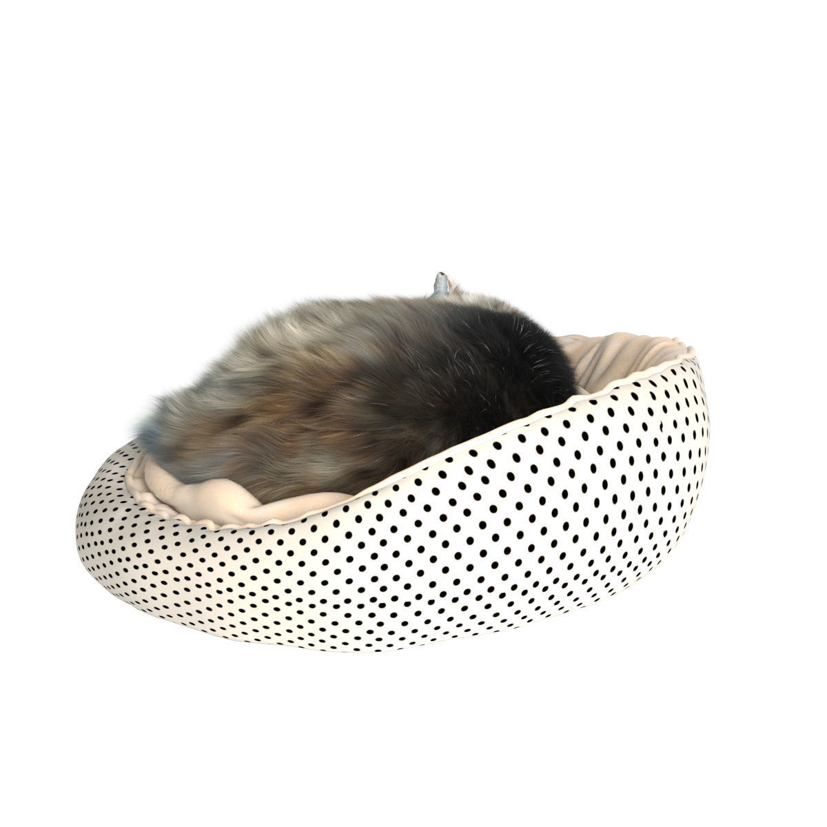 Sleeping Cat 3D model_8
