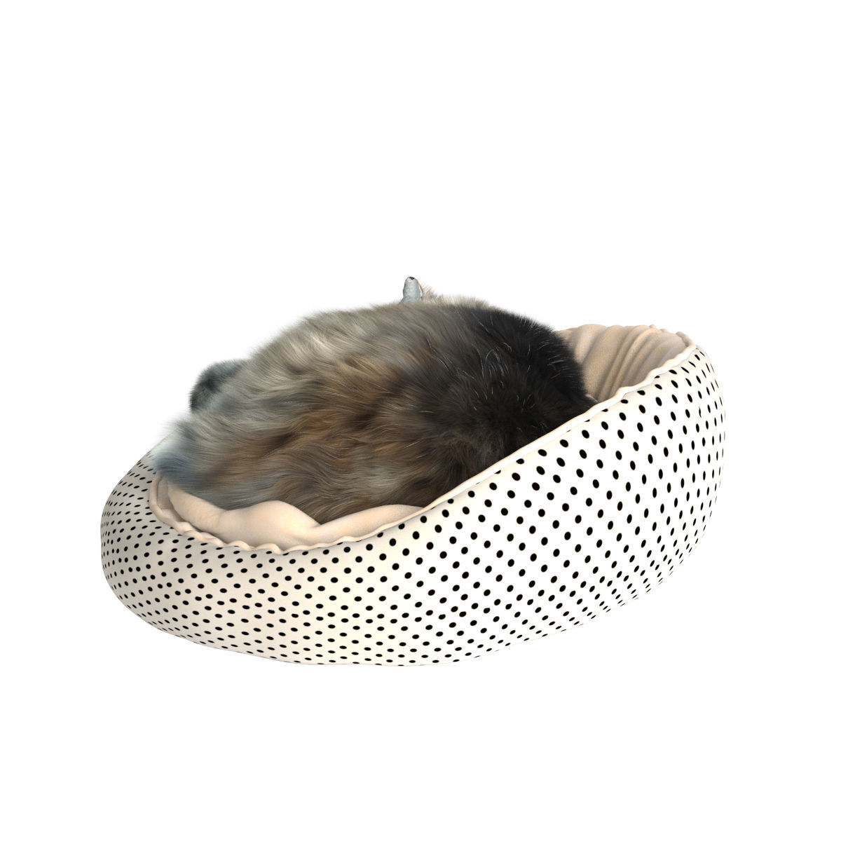 Sleeping Cat 3D model_29