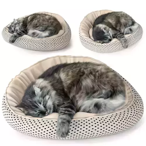 Sleeping Cat 3D model